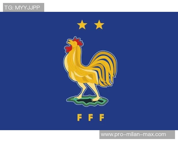 探索法国品牌足球的魅力与影响力在全球体育市场中的崛起之路