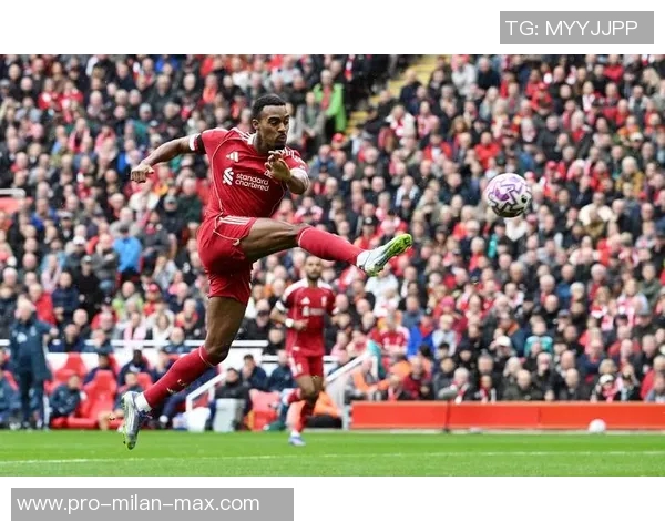 足球过人巨星的华丽舞步与技艺解析，探索他们如何征服绿茵场